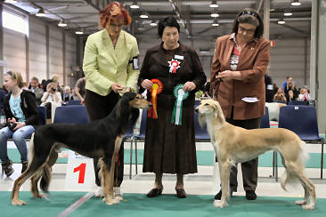 Master BOB and El Hamrah Filfil BOS